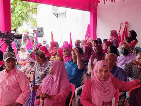 ޕީޕީއެމް އުވާލައި، ދަފްތަރުން އުނިކޮށްފި